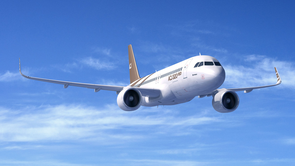 Delaware Airbus ACJ320 Charter
