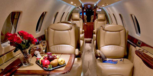 Citation Sovereign view for Delaware charter