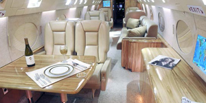 Gulfstream 2 / IIB / II-SP view for Delaware charter