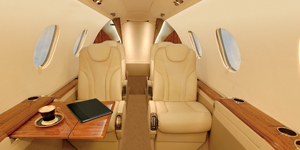 Premier 1A view for Delaware charter
